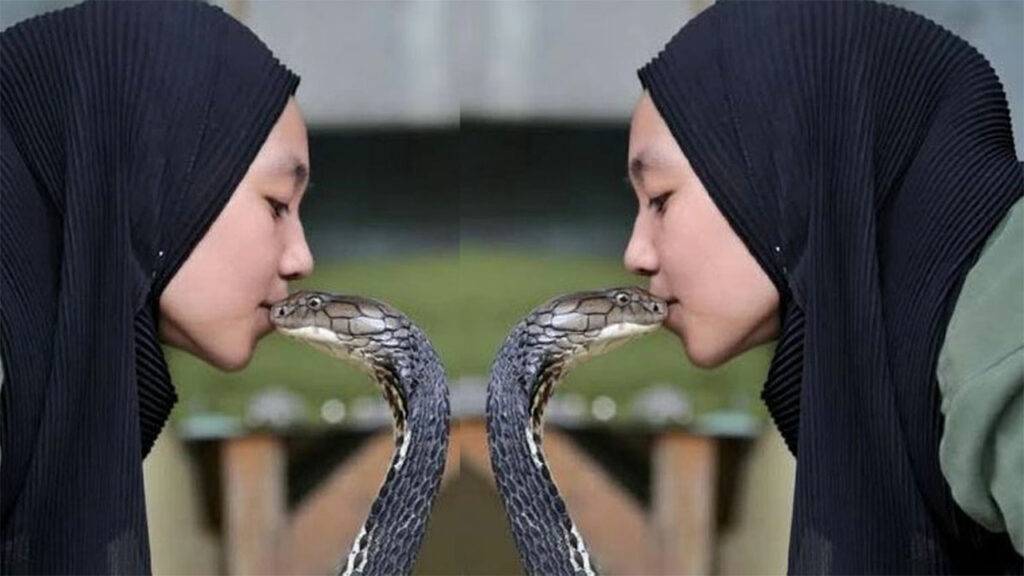 Girls pet snake King Cobra dies 1