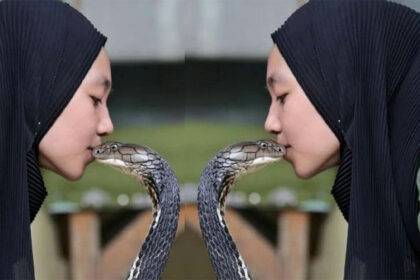 Girls pet snake King Cobra dies 1