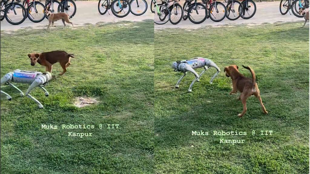 Real dogs came in front of robot dogs… video went viral