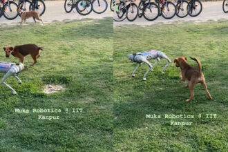 Real dogs came in front of robot dogs… video went viral