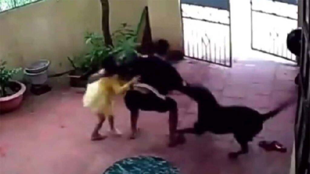 bachchi ko kidnep karta aadmi kutta bachata hua Photo