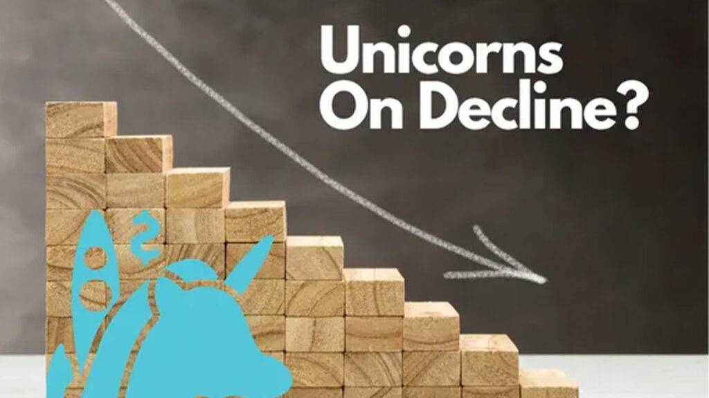 Decline in the number of unicorn companies in India